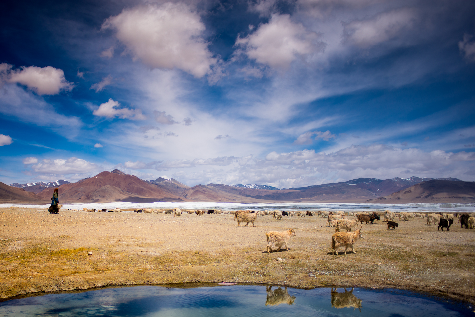 20160504-Ladakh_May-3044-1